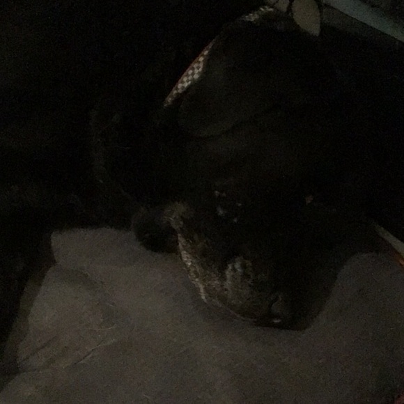 Meet your Posher, Debbie - Picture 1 of 1